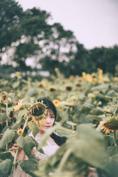 即便是太阳自己，
也只能照亮接受光明的事物。
出镜：@悠然Hime
摄影：@小朋时光
#摄影##写真# #瓦子卡摄影# ​