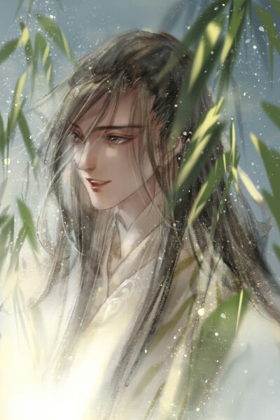 魔道祖师 魏无羡 蓝忘机 忘羡