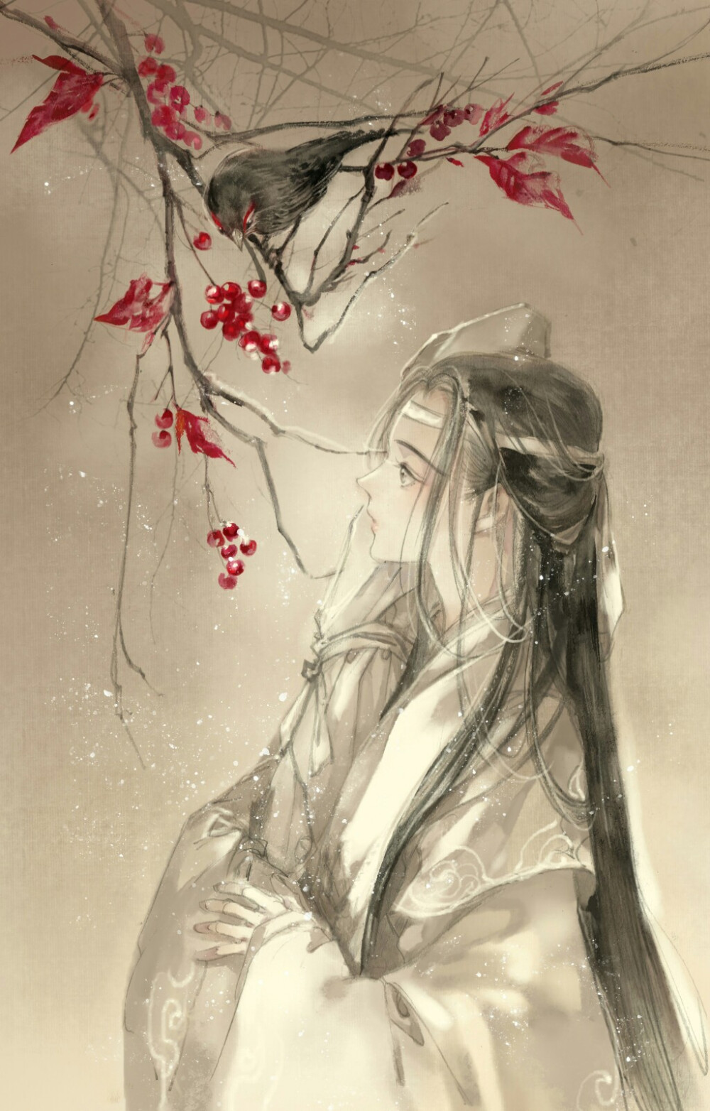 魔道祖师 魏无羡 蓝忘机 忘羡