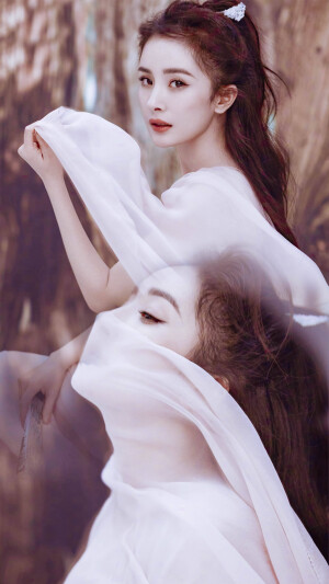 美幂