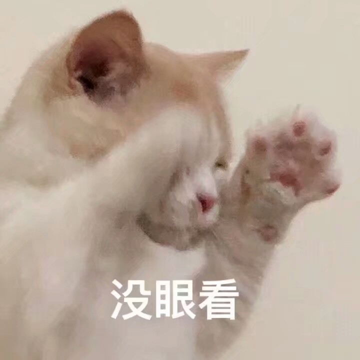 懵