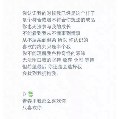 青春里我那么喜欢你。
只喜欢你。