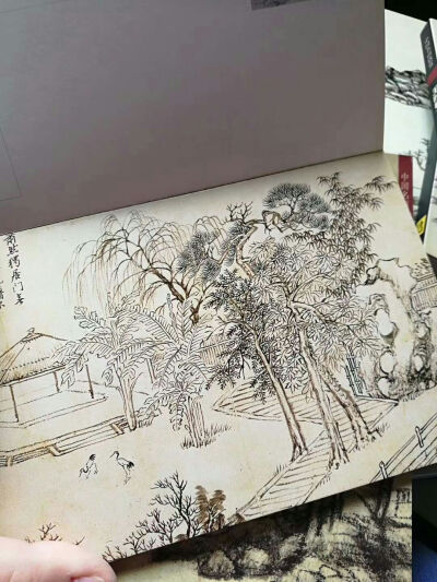 国画 水墨丹青 荷花 山水 牵牛花 梅花 写意 工笔