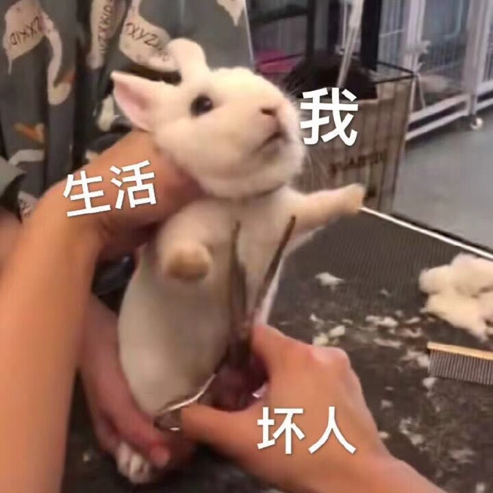 弱小可憐