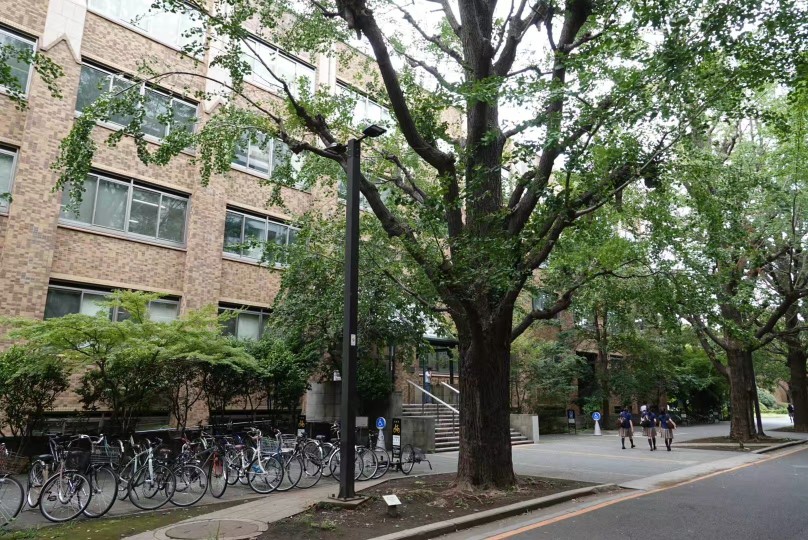 东京大学