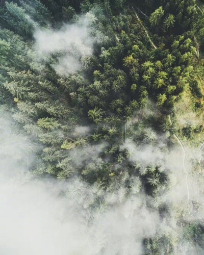 阿尔卑斯山的四季，树树皆美景，山山惟落晖。 ​