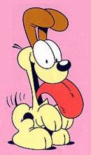 加菲猫幸福生活