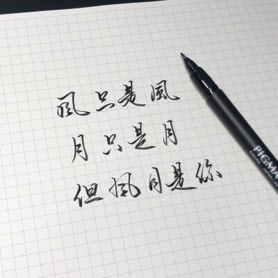 美字