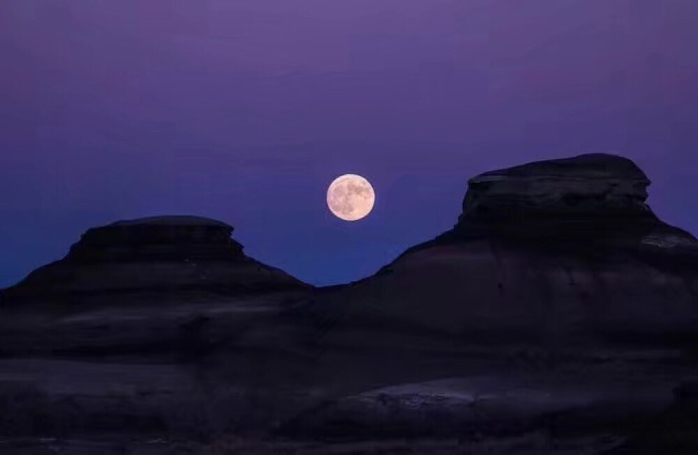 $月明星稀 乌鹊南飞