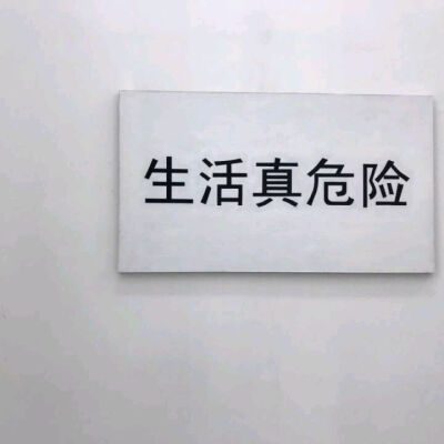 醒川｜壁纸