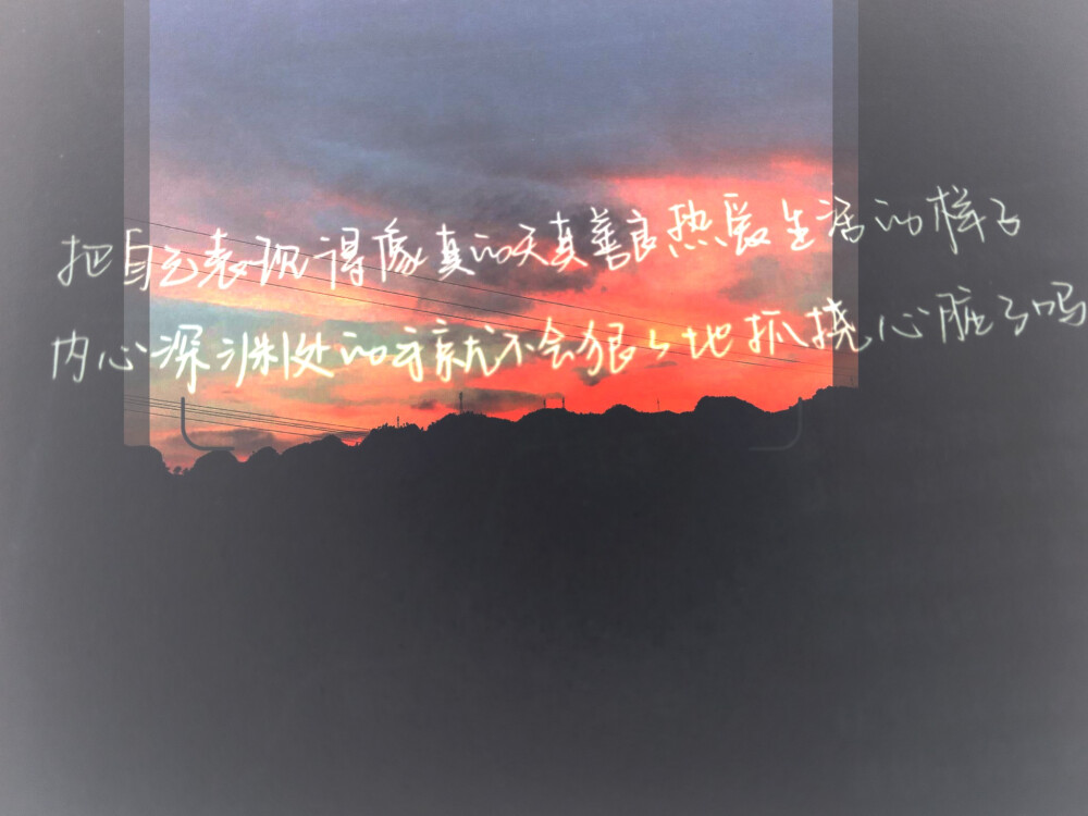辣鸡