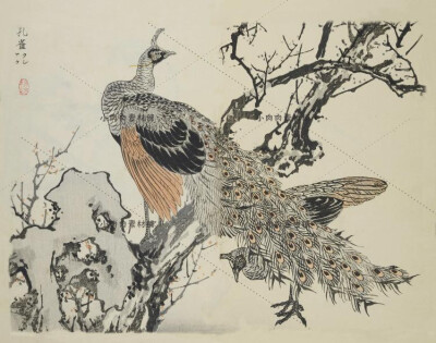 日本古传统水墨典梅岭绘百鸟风景植物花草图鉴绘画素描临摹素材22