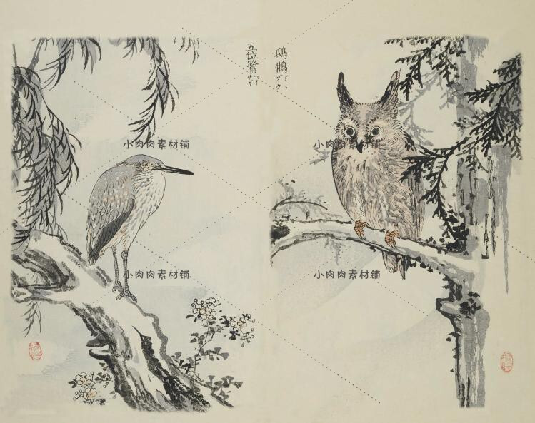 日本古传统水墨典梅岭绘百鸟风景植物花草图鉴绘画素描临摹素材22