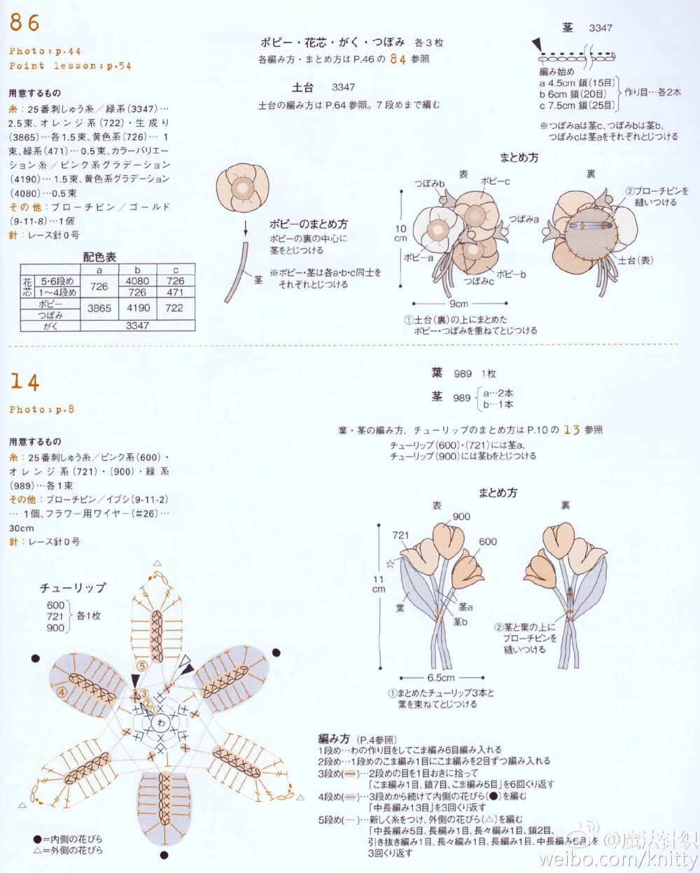 郁金香