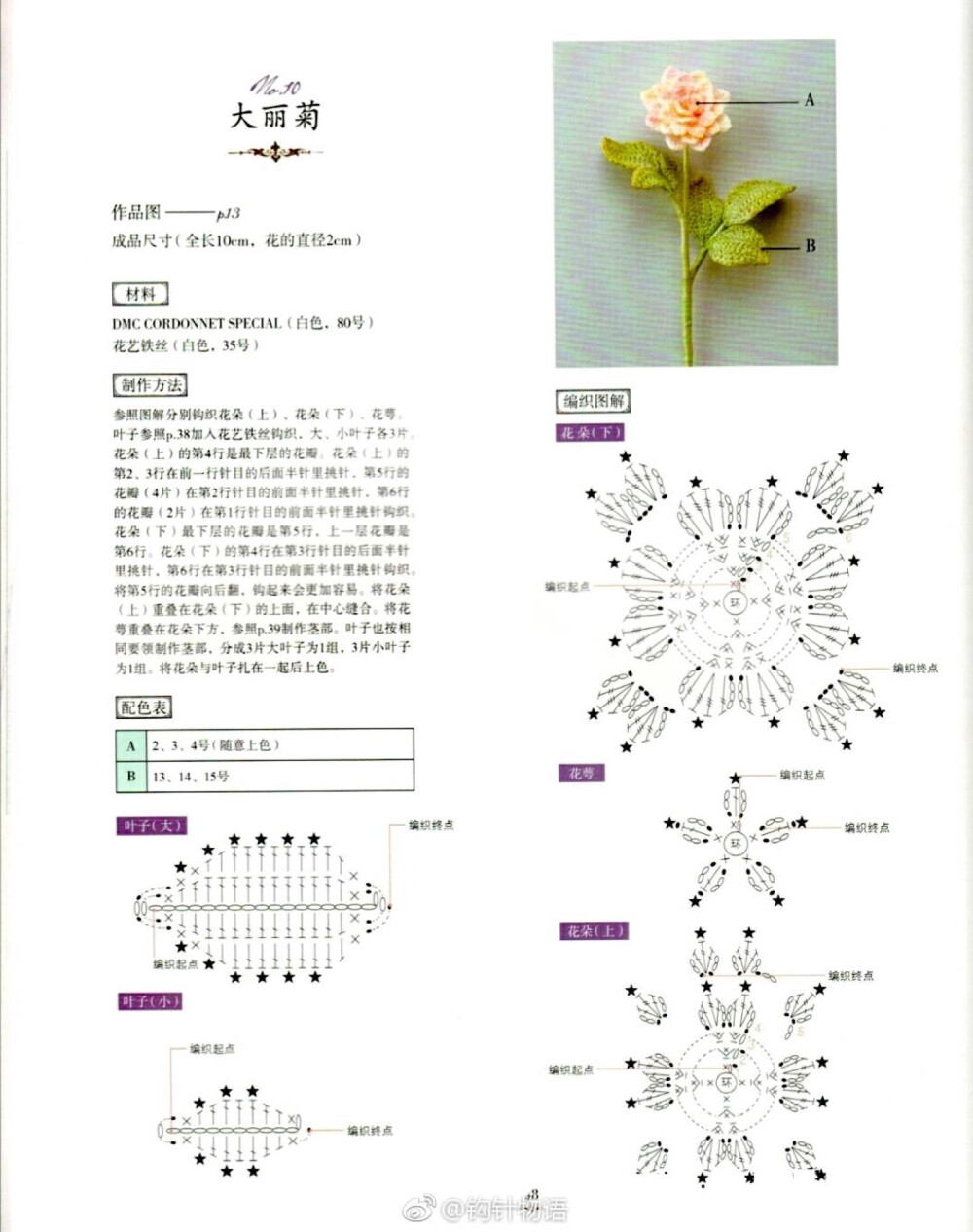 植物