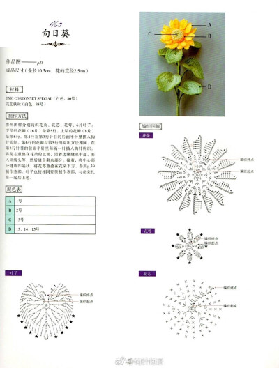 植物