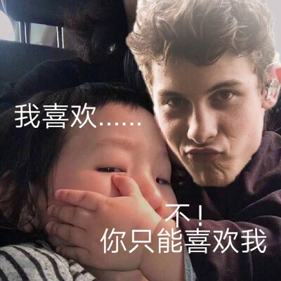 ShawnMendes萌德德