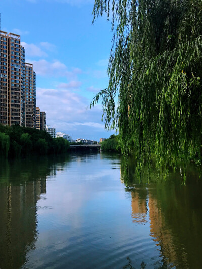 雨后河边都满出来了，虾兵蟹将都跑出来给小孩们抓到了…之前就说过。不管什么年龄段的人，碰到了水就「返老还童」了，一路趟着水过去的