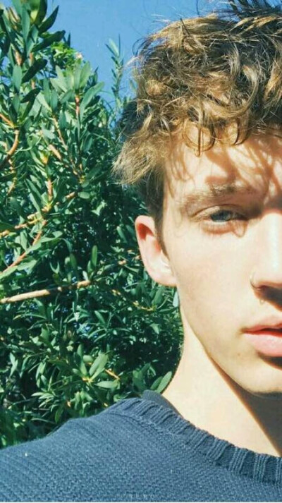 戳爷 Troye Sivan
转自贴吧