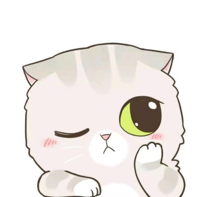 (˶‾᷄ ⁻̫ ‾᷅˵)