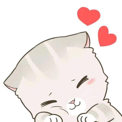 (˶‾᷄ ⁻̫ ‾᷅˵)