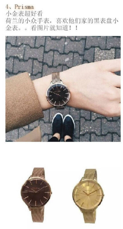 荷兰小众手表