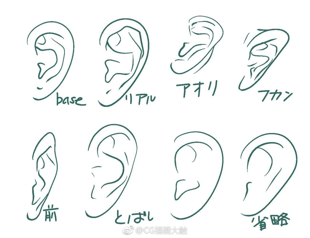 q版耳朵画法图片