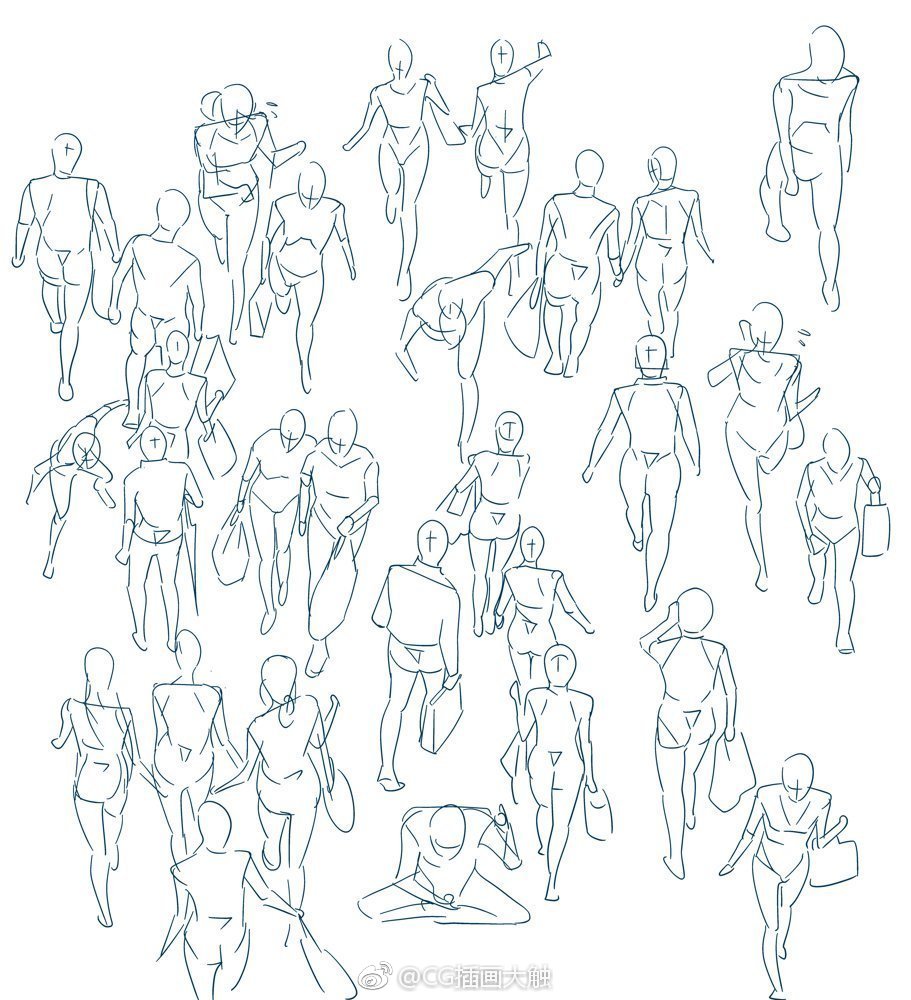 人体结构教学 素材