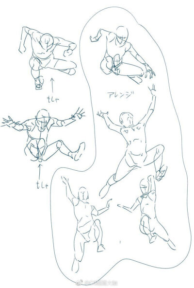 人体结构教学 素材