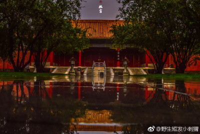 雨后故宫。深门疾雨过，箫疏台殿凉（野生短发小刺猬 ​​​​） ​​​​