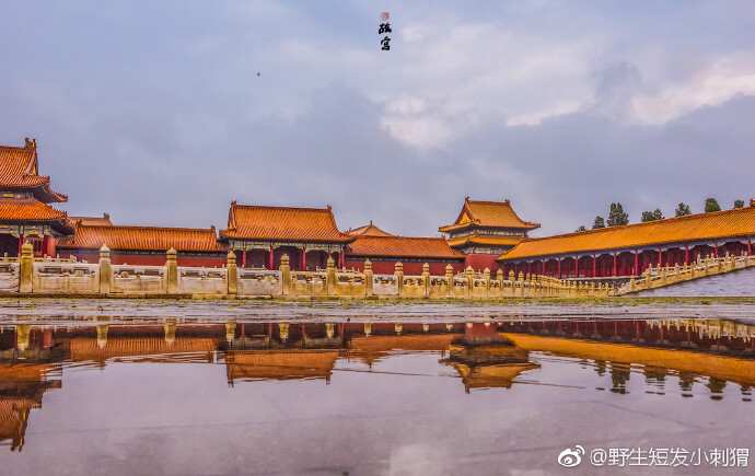 雨后故宫。深门疾雨过，箫疏台殿凉（野生短发小刺猬 ​​​​） ​​​​