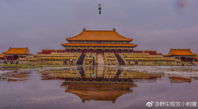 雨后故宫。深门疾雨过，箫疏台殿凉（野生短发小刺猬 ​​​​） ​​​​