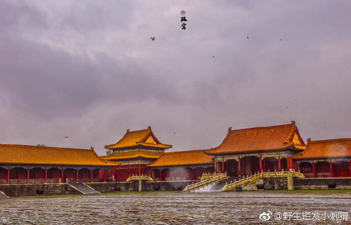 雨后故宫。深门疾雨过，箫疏台殿凉（野生短发小刺猬 ​​​​） ​​​​