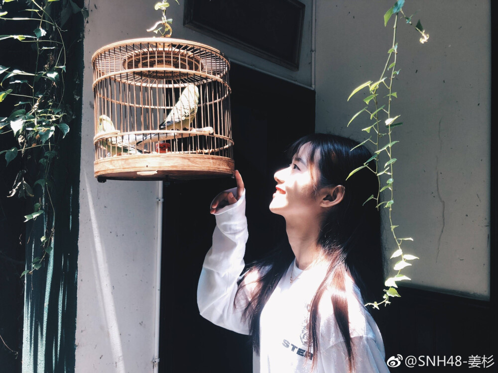 snh48姜杉