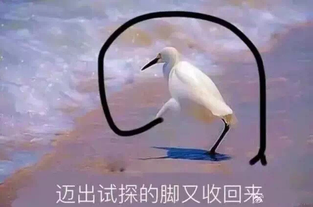 我。可爱，打钱
表情包