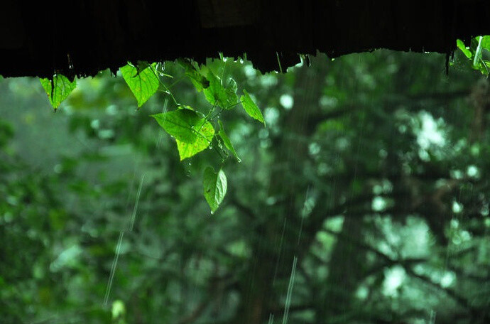 檐雨稍霏微，窗风正萧瑟。清宵一觉睡，可以销百疾。-----白居易 ​