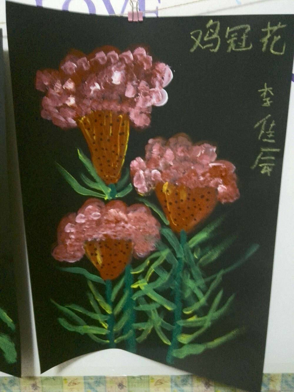 鸡冠花-----水粉