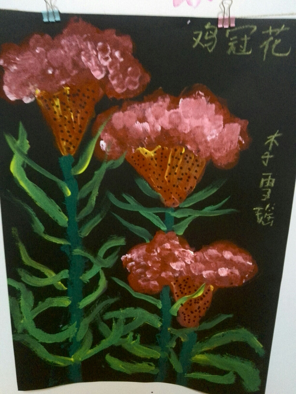 鸡冠花-----水粉