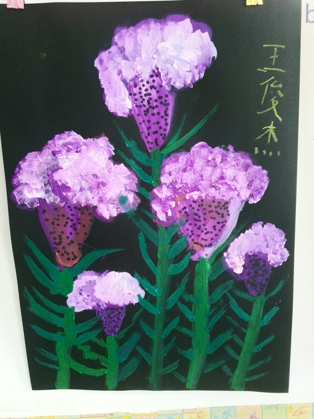 鸡冠花-----水粉