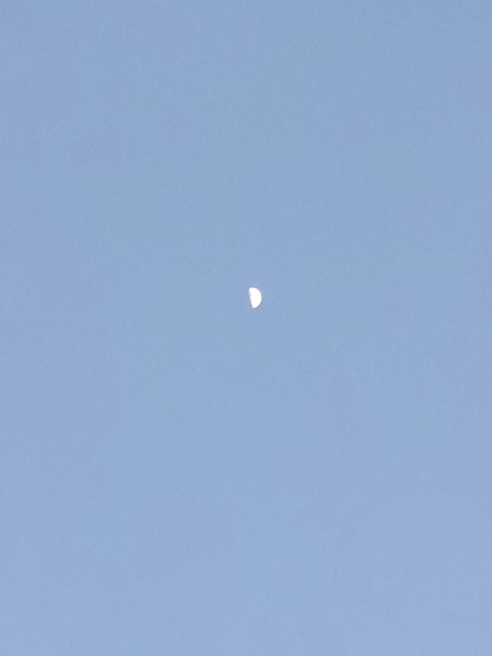 先生你准备好了吗 我们要坠入爱河了