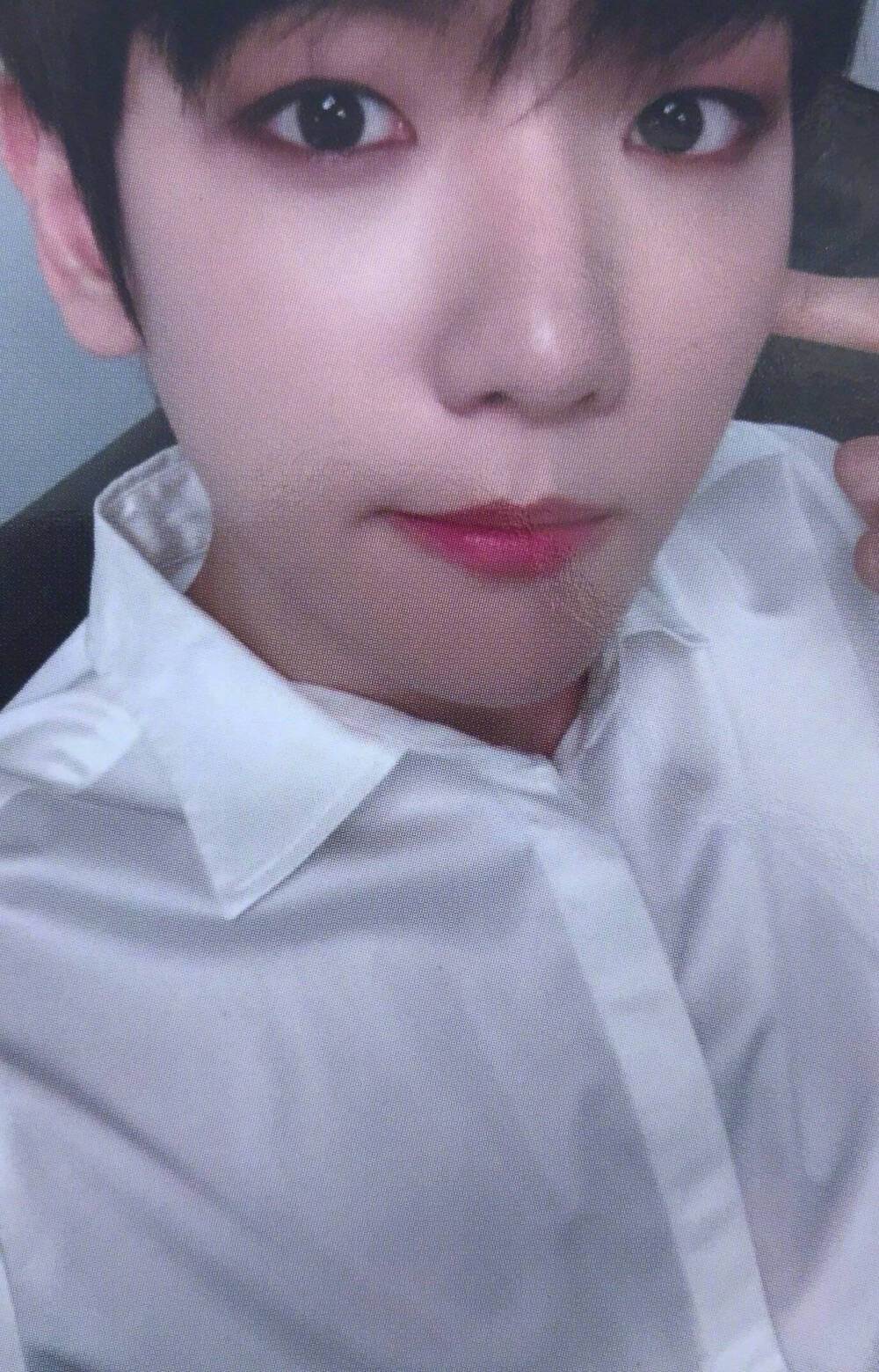 #伯贤# EXO-CBX Fan Event 伯贤周边扫图