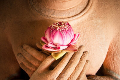 Lotus in the hands of sandstone Buddha.