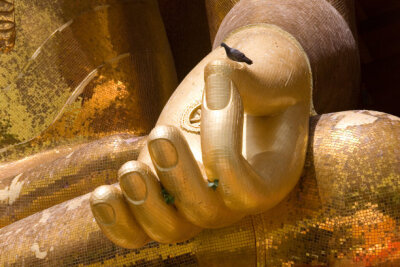 The dove sits on the arm of a large golden Buddha.