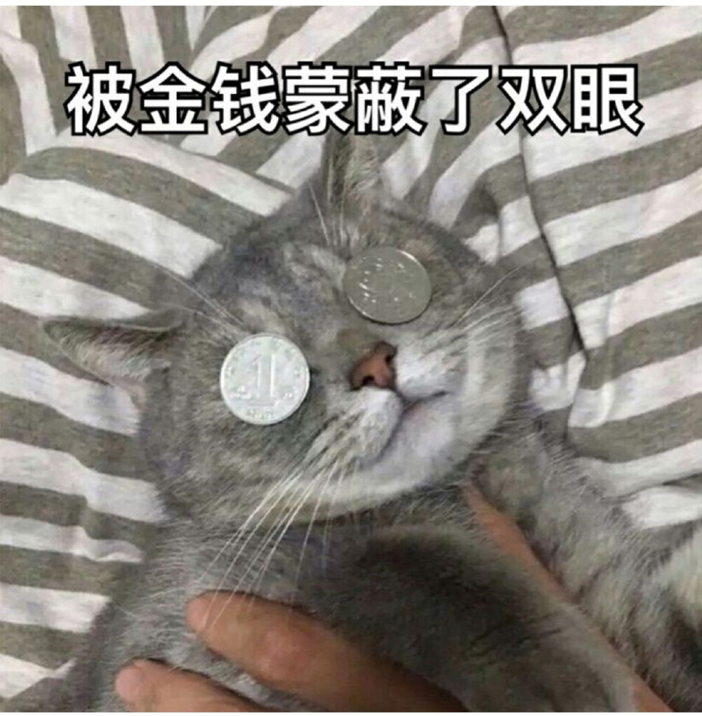 加薪加薪
