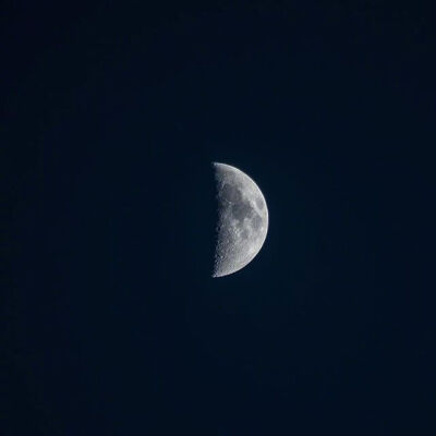 我的天空里没有太阳，总是黑夜，但并不暗，因为有东西代替了太阳，虽然没有太阳那样明亮，但对我来说已经足够。凭借这份亮光，我便能把黑夜当成白天。我从来没有太阳，所以不怕失去。 ​​​​