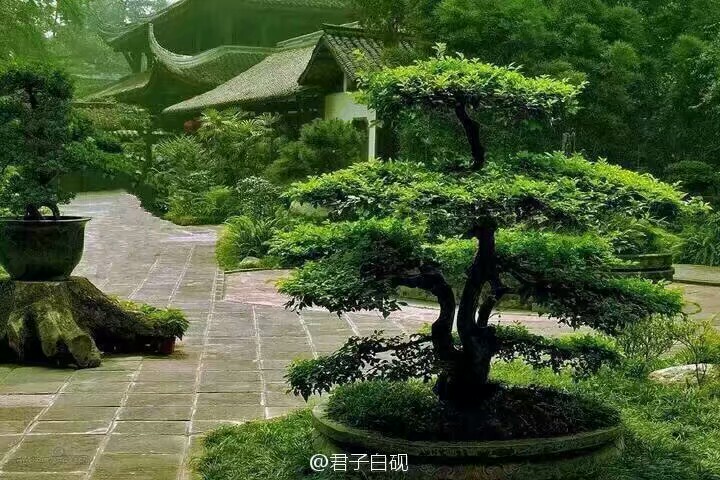 禅意