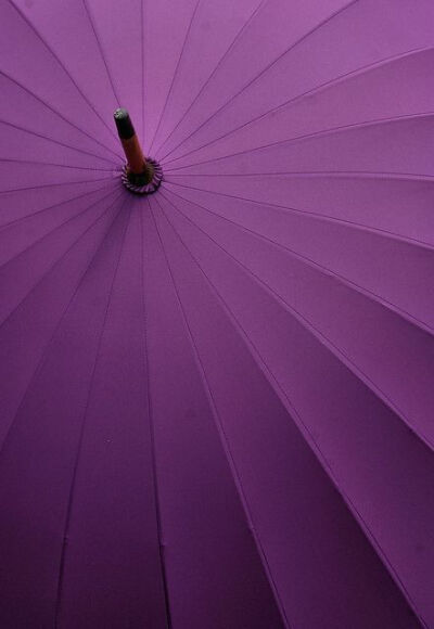 PURPLE♡