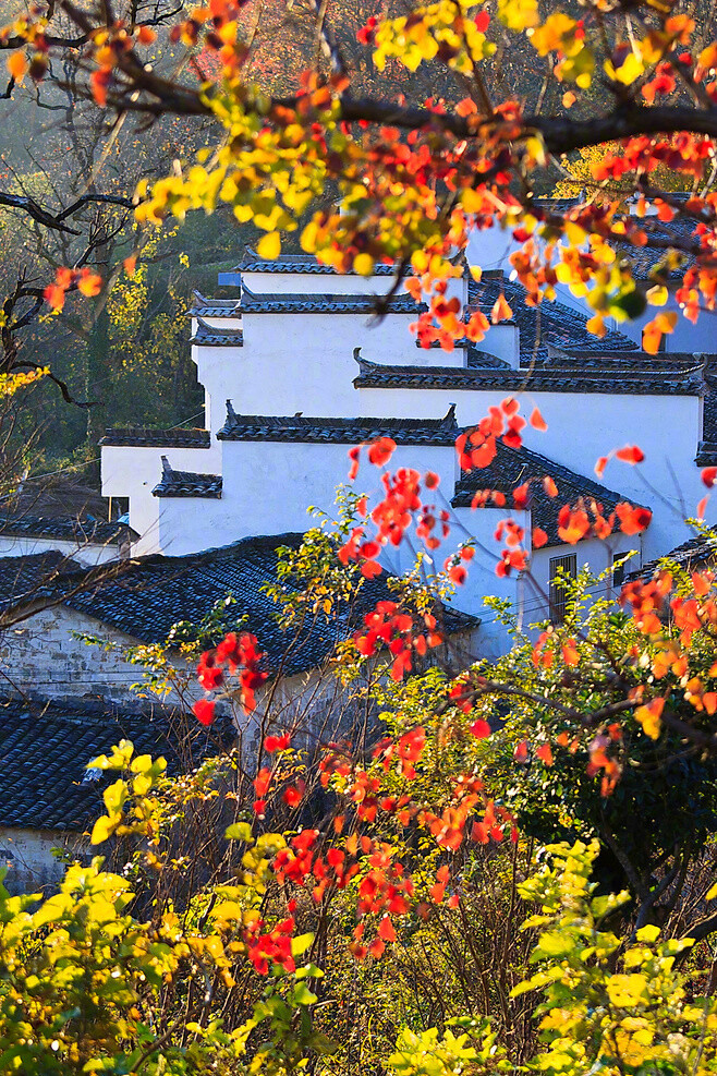 安徽黟县塔川仙境之秋下个季节一起去看可好67676767