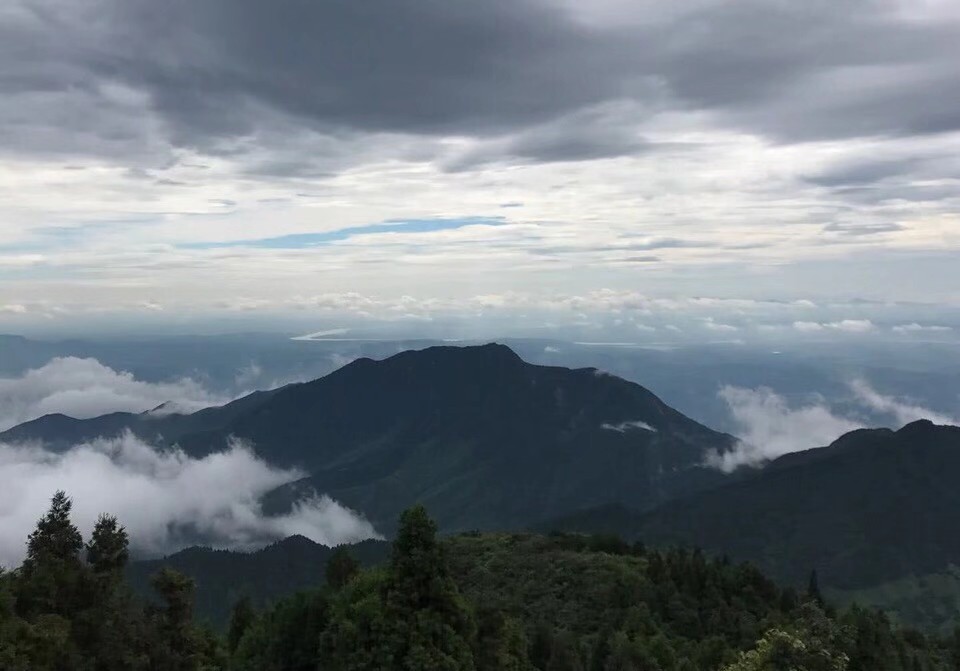 我爱你 庸俗且温暖 美好而煽情