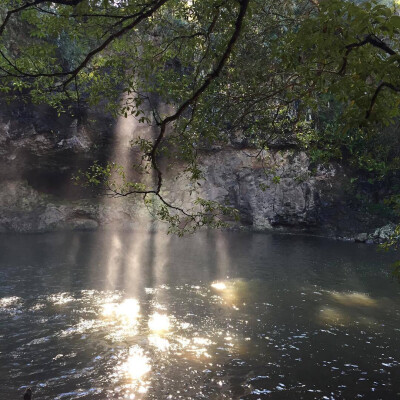 野梦